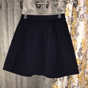 Navy Blue Miniskirt with Gold Zipper